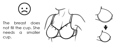 Image: How to Fit a Bra #3